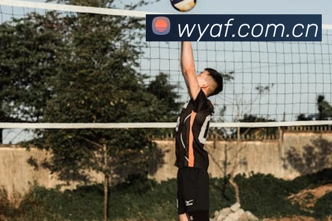 m6官网app入口APP 体育赛事宣传图